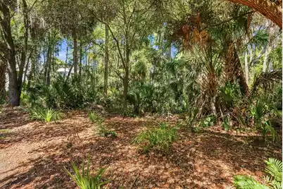 320 Moon Tide Lane, Kiawah Island, SC 29455 - Photo 7