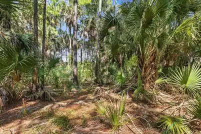 320 Moon Tide Lane, Kiawah Island, SC 29455 - Photo 9