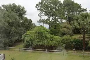 1802 Hopeman Ln, Mount Pleasant, SC 29466 - Photo 33