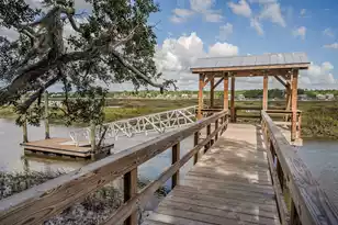 1783 Bolden Dr, Mount Pleasant, SC 29466 - Photo 67