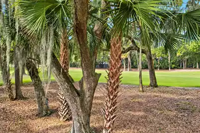 1115 Summer Wind Lane, Seabrook Island, SC 29455 - Photo 53