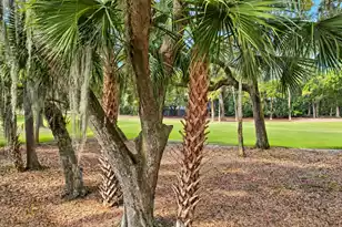 1115 Summer Wind Ln, Seabrook Island, SC 29455 - Photo 53