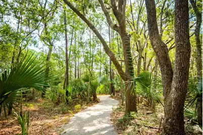 1561 Red Tide Road, Mount Pleasant, SC 29466 - Photo 47