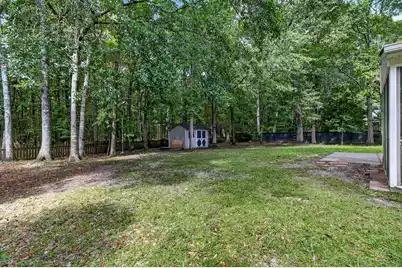 1132 Black Rush Circle, Mount Pleasant, SC 29466 - Photo 43