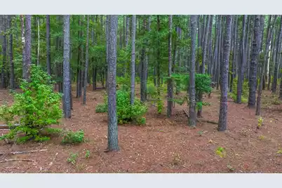 0 Oak Creek Court, Bonneau, SC 29431 - Photo 7