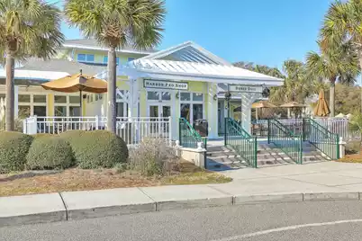 46 Morgan's Cove Drive, Isle Of Palms, SC 29451 - Photo 75