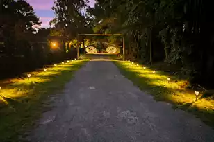 4157 Cottageville Hwy, Round O, SC 29474 - Photo 11