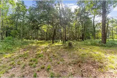 4157 Cottageville Highway, Round O, SC 29474 - Photo 61