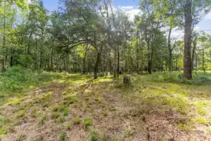 4157 Cottageville Hwy, Round O, SC 29474 - Photo 61