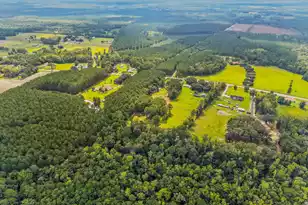 4157 Cottageville Hwy, Round O, SC 29474 - Photo 67