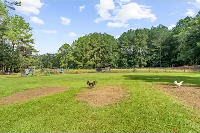 4157 Cottageville Highway, Round O, SC 29474 - Photo 59
