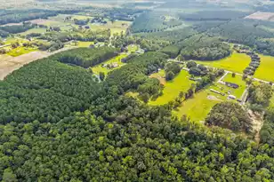 4157 Cottageville Hwy, Round O, SC 29474 - Photo 69