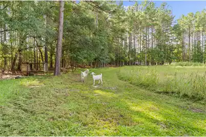 4157 Cottageville Highway, Round O, SC 29474 - Photo 65