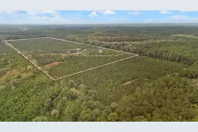 000 Augusta Hwy Highway, Smoaks, SC 29481 - Photo 5