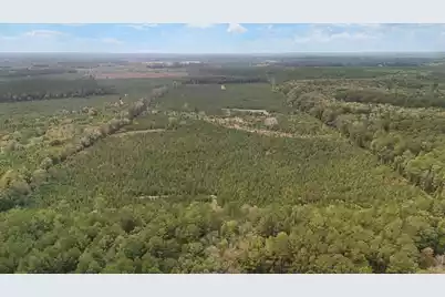 000 Augusta Hwy Highway, Smoaks, SC 29481 - Photo 13