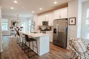 211 Harlequin Aly, Charleston, SC 29492 - Photo 9