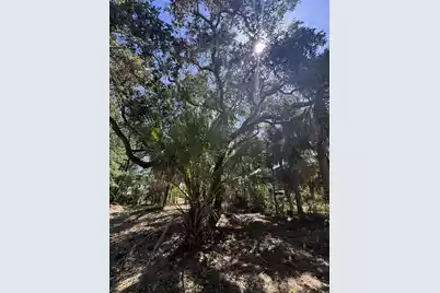 211 Lilly Street, Edisto Island, SC 29438 - Photo 7