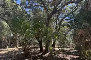211 Lilly St, Edisto Island, SC 29438 - Photo 1