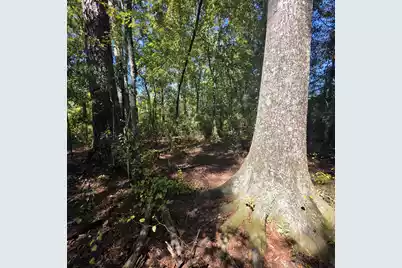 0 Two Church Road, Bowman, SC 29018 - Photo 17