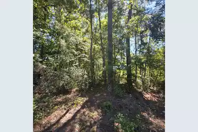 0 Two Church Road, Bowman, SC 29018 - Photo 13