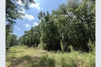 0000 Log Cabin Lane, Smoaks, SC 29481 - Photo 5