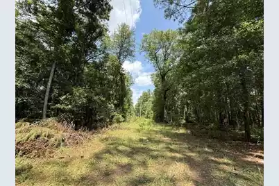0000 Log Cabin Lane, Smoaks, SC 29481 - Photo 7