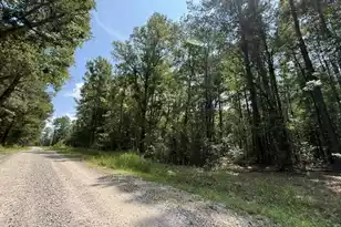 0000 Log Cabin Ln, Smoaks, SC 29481 - Photo 1