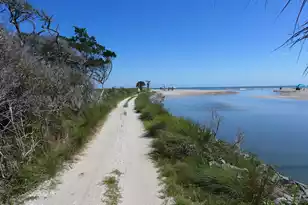 75 Lost Village Trail, Edisto Island, SC 29438 - Photo 61