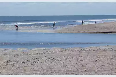 75 Lost Village Trail, Edisto Island, SC 29438 - Photo 69