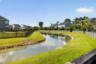 2909 River Vista Way, Mount Pleasant, SC 29466 - Photo 51