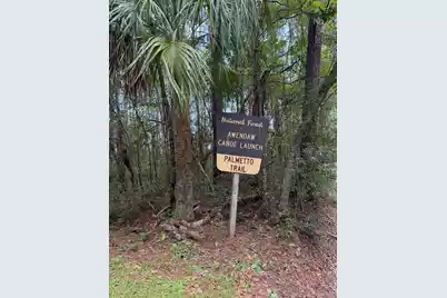 1017 Rosa Green Road, Awendaw, SC 29429 - Photo 3