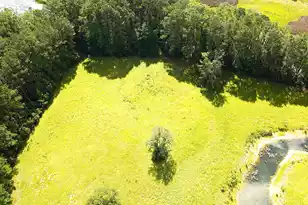 4503 Chisolm Rd Lot B, Johns Island, SC 29455 - Photo 21