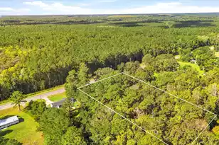 1560 Hwy 78, Ridgeville, SC 29472 - Photo 1