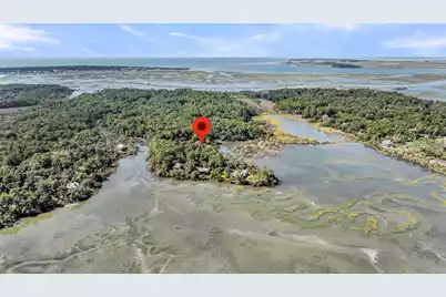 167 Cape Palmetto Point Trail, Edisto Island, SC 29438 - Photo 105