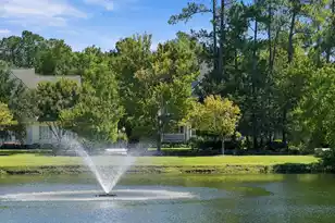 1857 James Gregarie Road S, Mount Pleasant, SC 29466 - Photo 3