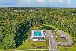 517 Grey Owl Wy, Charleston, SC 29414 - Photo 43