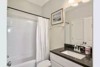 3789 Tupelo Branch Row, Mount Pleasant, SC 29429 - Photo 39