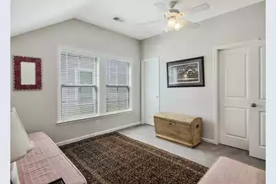 3789 Tupelo Branch Row, Mount Pleasant, SC 29429 - Photo 41