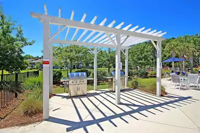 3789 Tupelo Branch Row, Mount Pleasant, SC 29429 - Photo 57