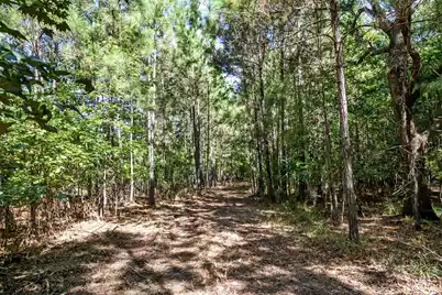 3727 Humbert Road, Johns Island, SC 29455 - Photo 19