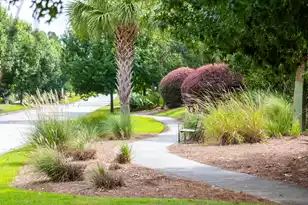 3909 Maidstone Dr, Mount Pleasant, SC 29466 - Photo 61