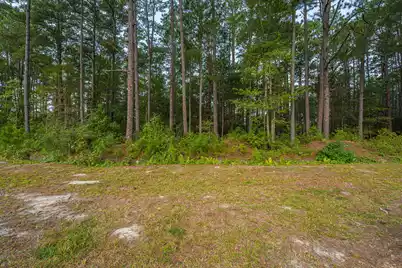 1288 Carter Road, Ridgeville, SC 29472 - Photo 55