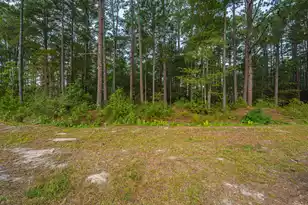 1288 Carter Rd, Ridgeville, SC 29472 - Photo 55