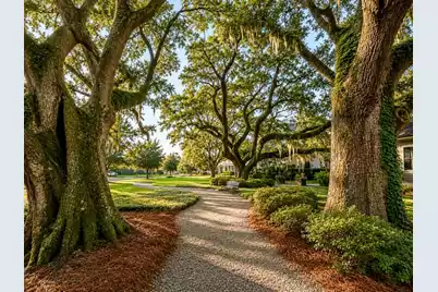 1690 Emmets Road, Johns Island, SC 29455 - Photo 51