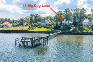 113 Big Dog Ln, Eutawville, SC 29048 - Photo 93