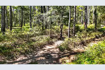 6324 Highway 17 N, Awendaw, SC 29429 - Photo 43