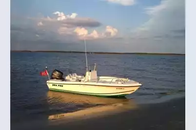 7909 Edingsville Beach Road, Edisto Island, SC 29438 - Photo 73