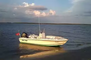 7909 Edingsville Beach Rd, Edisto Island, SC 29438 - Photo 73