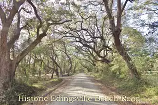 7909 Edingsville Beach Rd, Edisto Island, SC 29438 - Photo 9