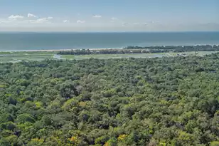 7909 Edingsville Beach Rd, Edisto Island, SC 29438 - Photo 67